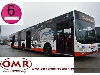 Mestni avtobus MAN A 23 Lion's City G/ O 530 G  / Euro 6 /Klima/ 5x: slika 1