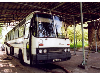 IKARUS 250.59 - Potovalni avtobus