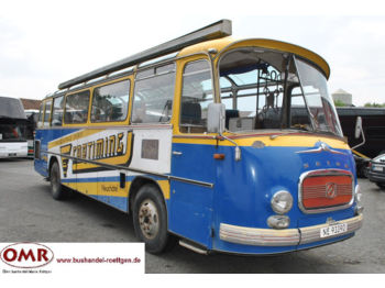 Potovalni avtobus Setra S 11 A Oldtimer: slika 1