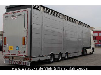 Pezzaioli SBA31-SR  3 Stock "Neu" Vermietung  - Polprikolica za prevoz živine