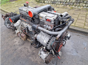 DAF DKX 1160 - Motor za Tovornjak: slika 3