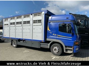 Tovornjak za prevoz živine Mercedes-Benz 1328 L Finkl 2 Stock Vollalu "TÜV NEU": slika 1