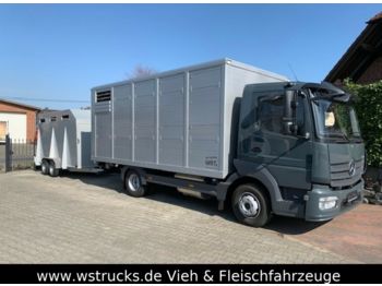 Tovornjak za prevoz živine za transport živali Mercedes-Benz 821L" Neu" WST Edition" Menke Einstock Vollalu: slika 1