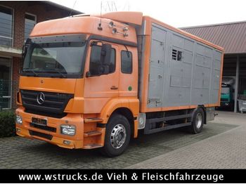 Tovornjak za prevoz živine Mercedes-Benz  Axor 1833 2 Stock Michieletto: slika 1